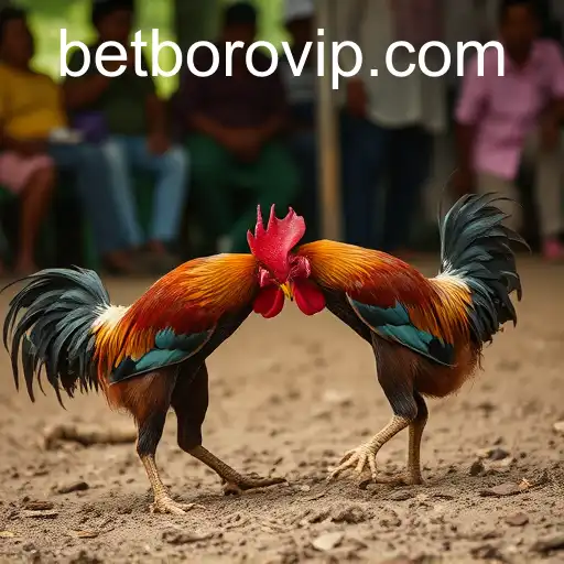 Sabong Games: Tradition Meets Technology with Betboro